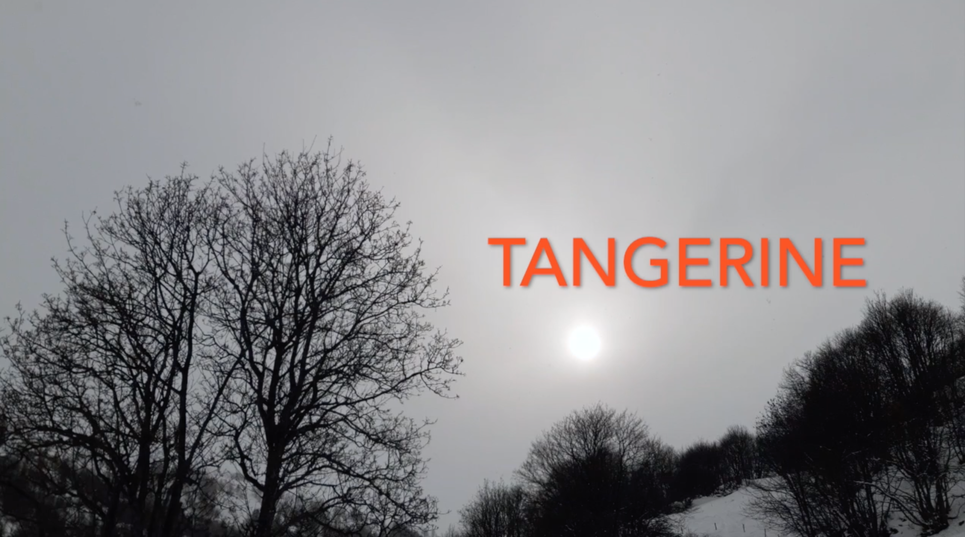 You are currently viewing Court métrage #Tangerine